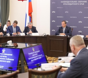 Кубанские законодатели обсудили  перспективы развития уличной торговли в крае